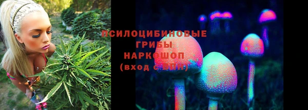 стафф Красноперекопск