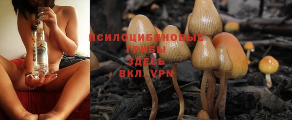 стафф Красноперекопск