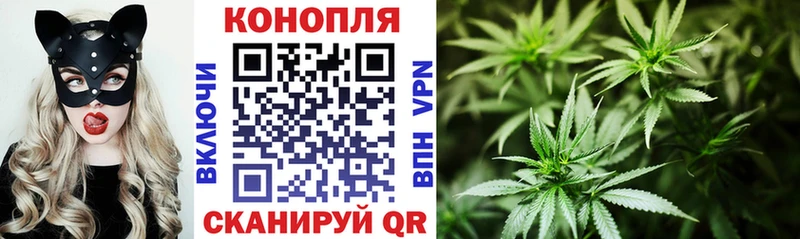 Каннабис план  Купить закладки  Нарьян-Мар 
